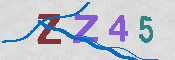 Obraz CAPTCHY